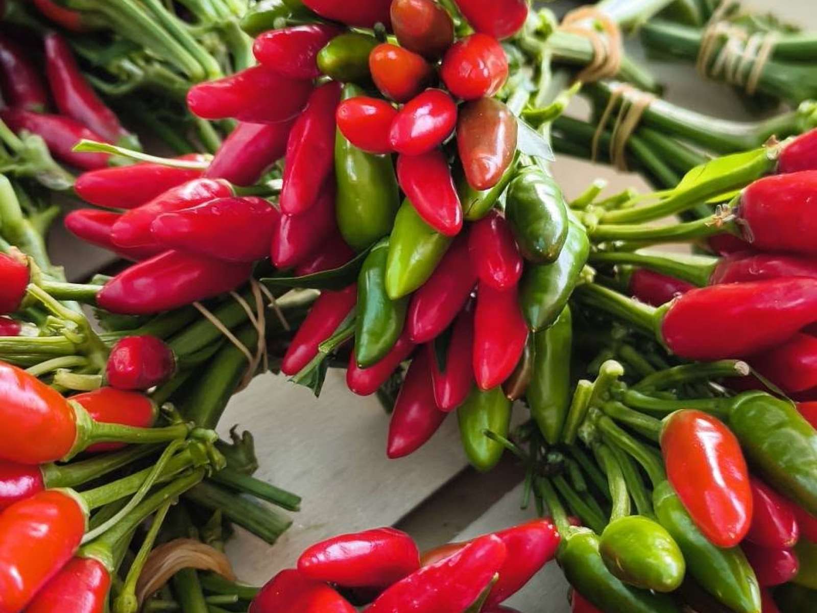 Vivaio Venturi – serre e giardino, location collaborazioni