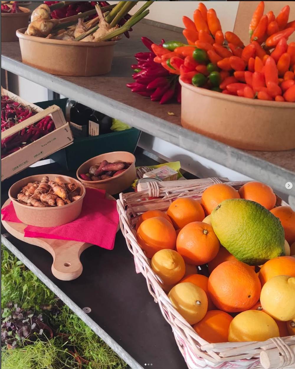 Serre del Vivaio Venturi con piante aromatiche