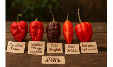 Peperoncini più piccanti al mondo – Carolina Reaper e altri |