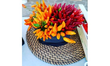 Come essiccare e conservare il peperoncino: metodi naturali e sicuri