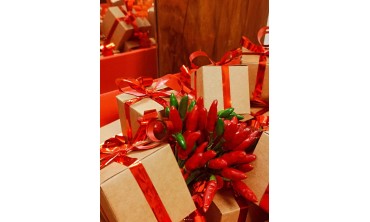 Peperoncino ornamentale: bellezza, significato e varietà decorative